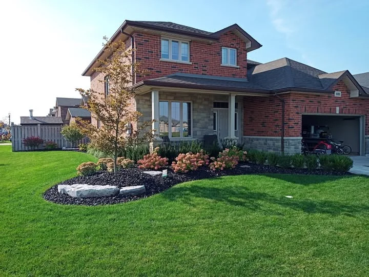 Front yard landscaping.