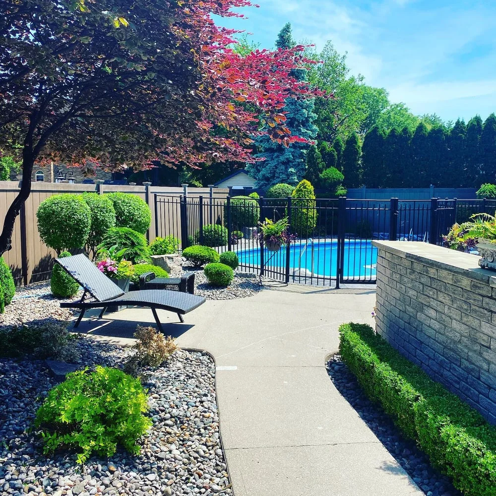 Backyard oasis.