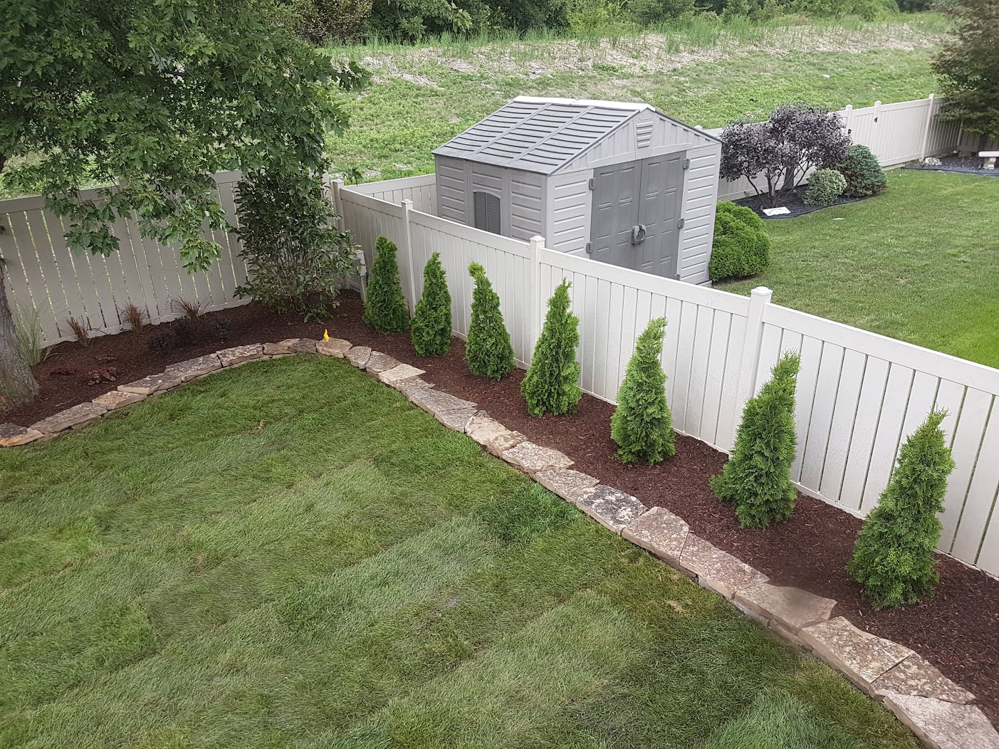 Backyard lawncare.