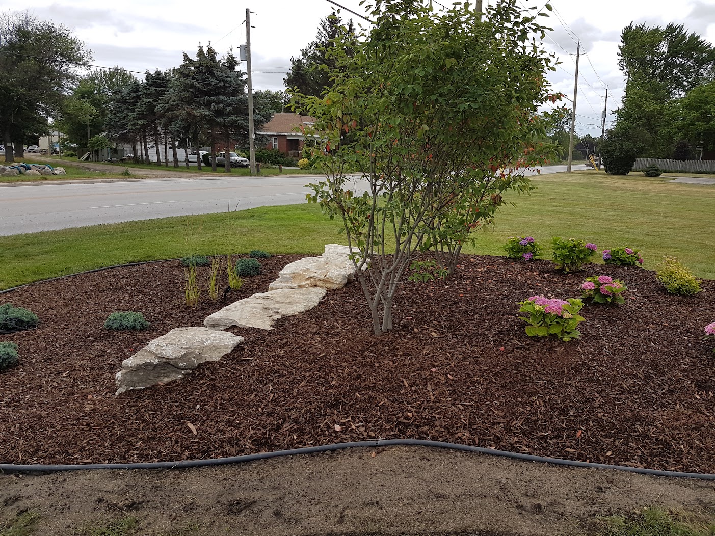Front lawn landscape design.